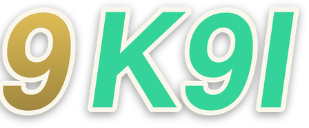 9k9i